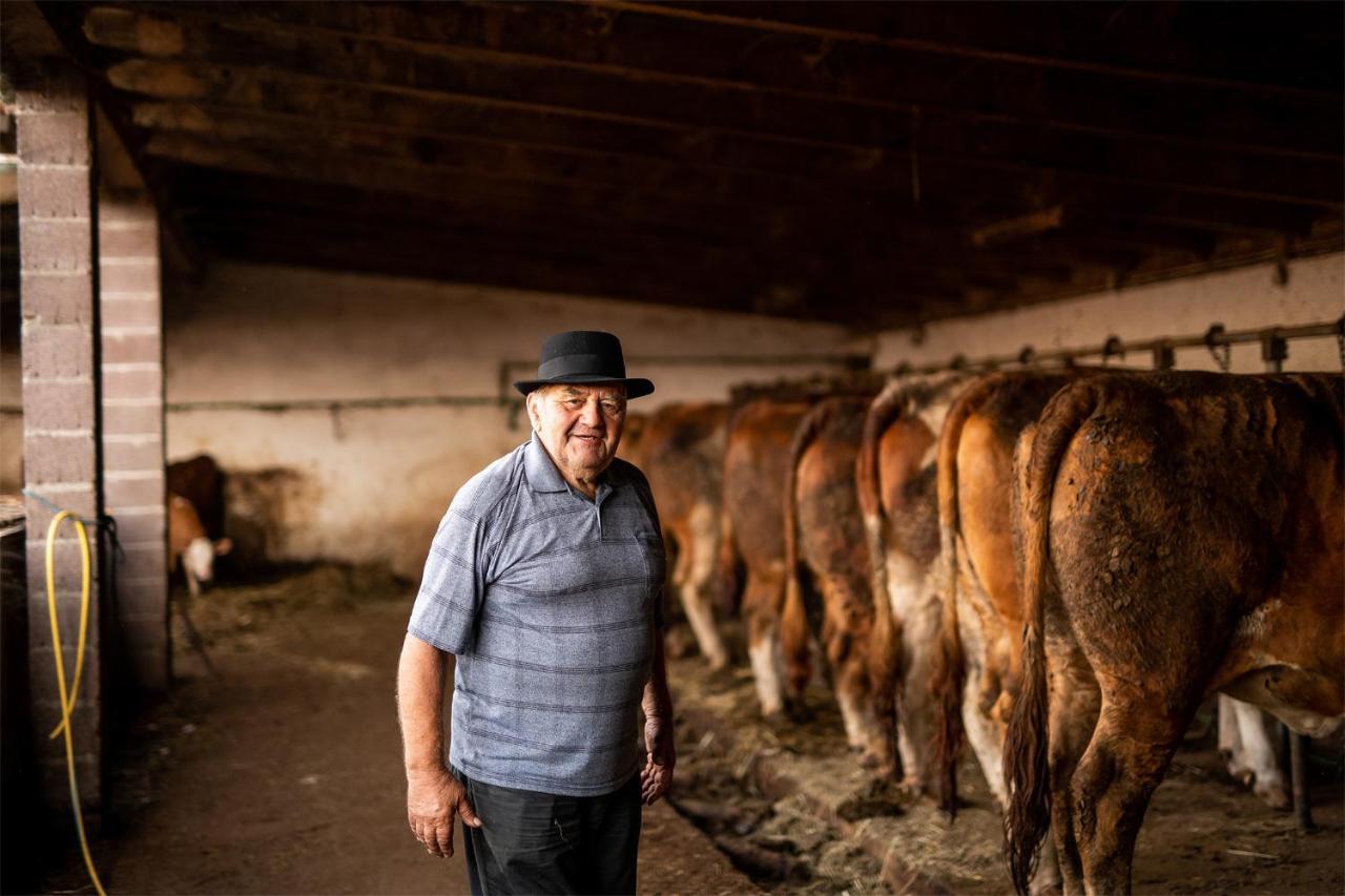 Salas 318 - Farm Experience