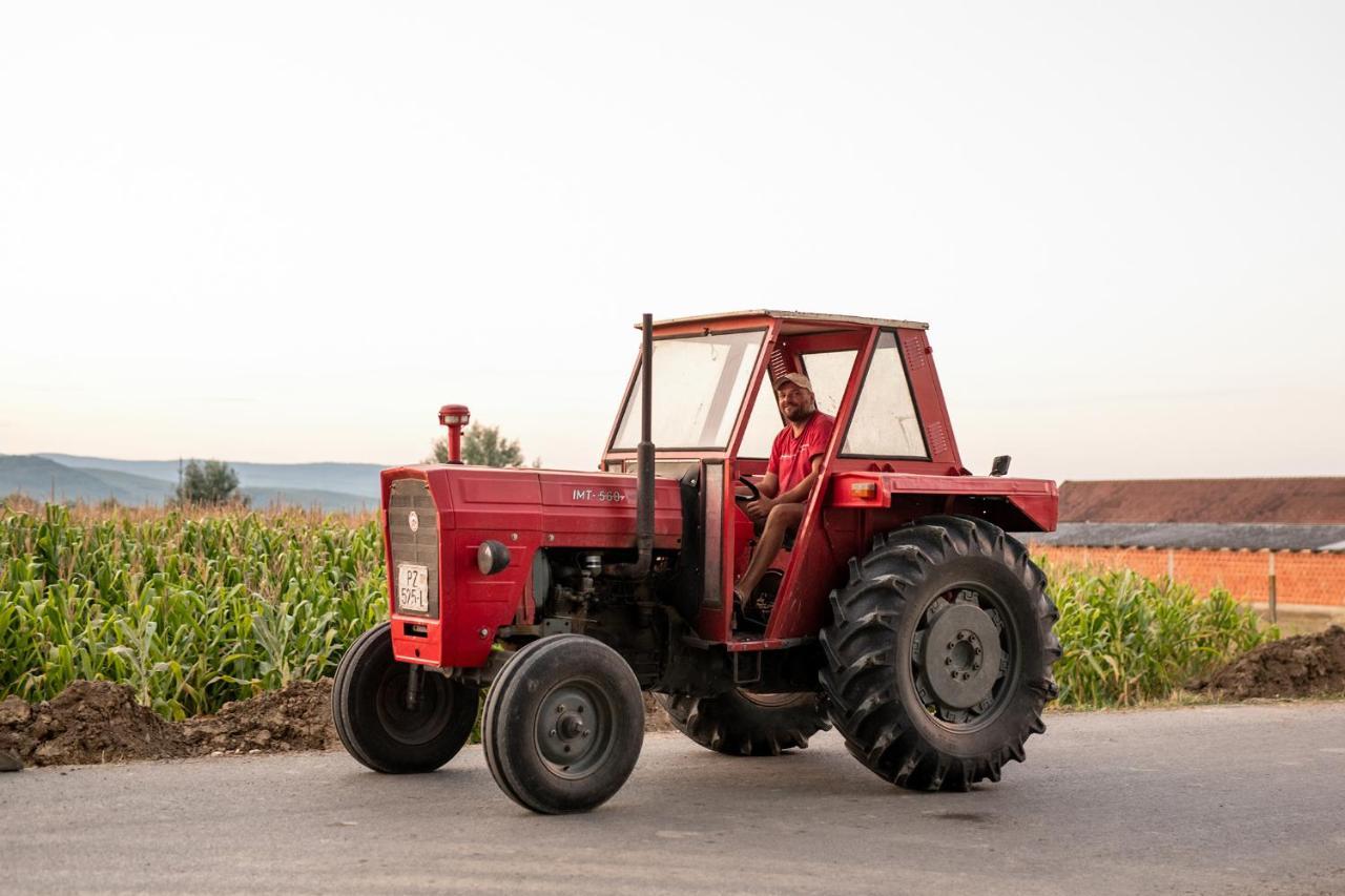 Salas 318 - Farm Experience *