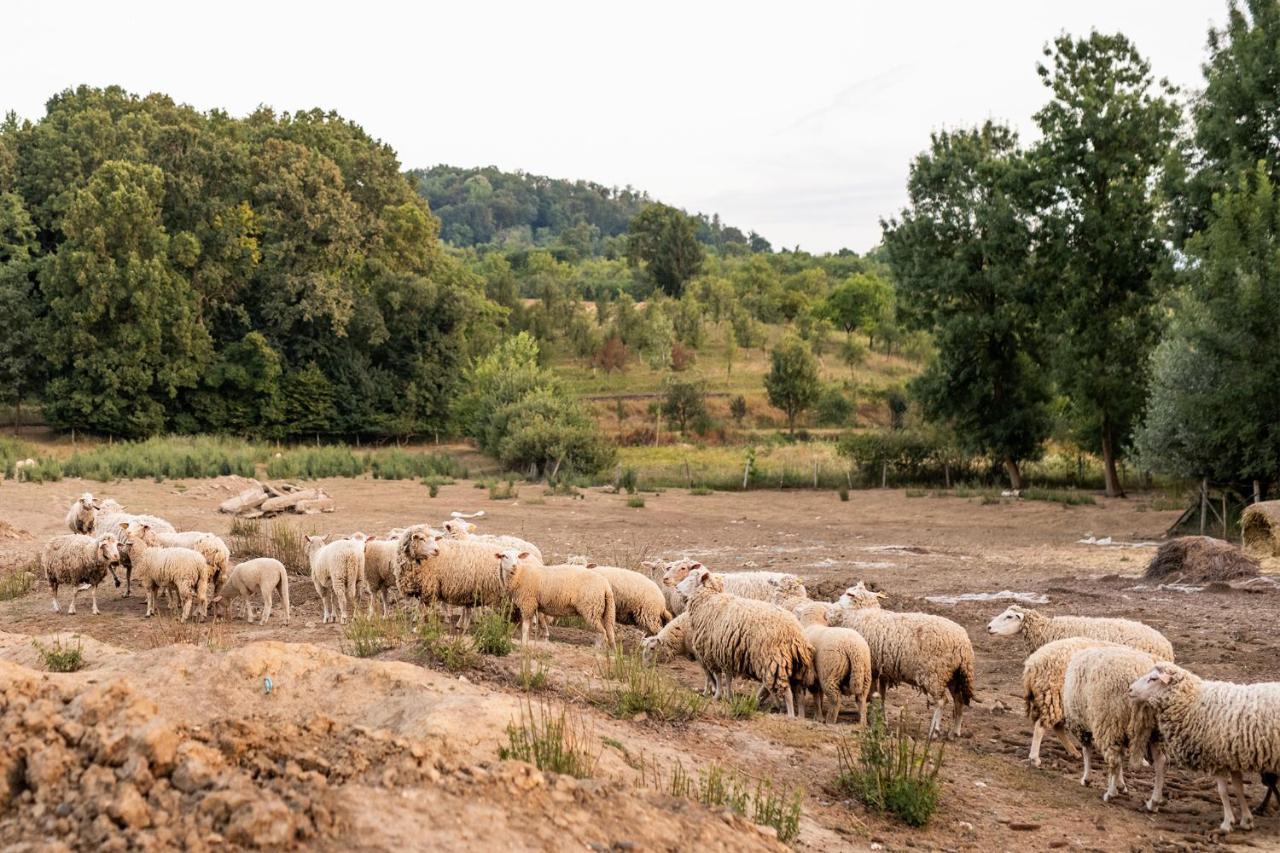 Séjour à la campagne Salas 318 - Farm Experience