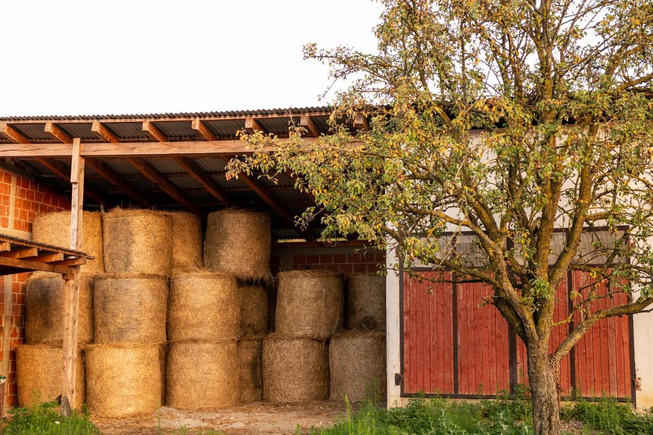 Salas 318 - Farm Experience Séjour à la campagne *